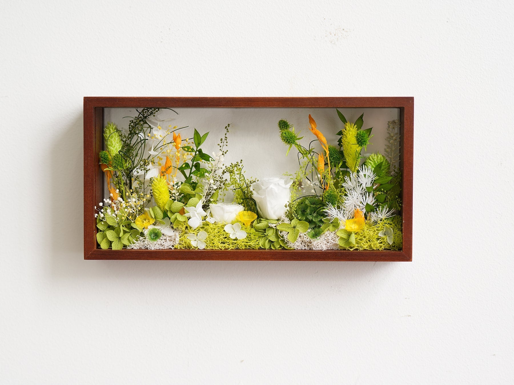 "The Landscape Garden" - Real Preserved Flower Shadow Box (Panoramic Desk Decor)