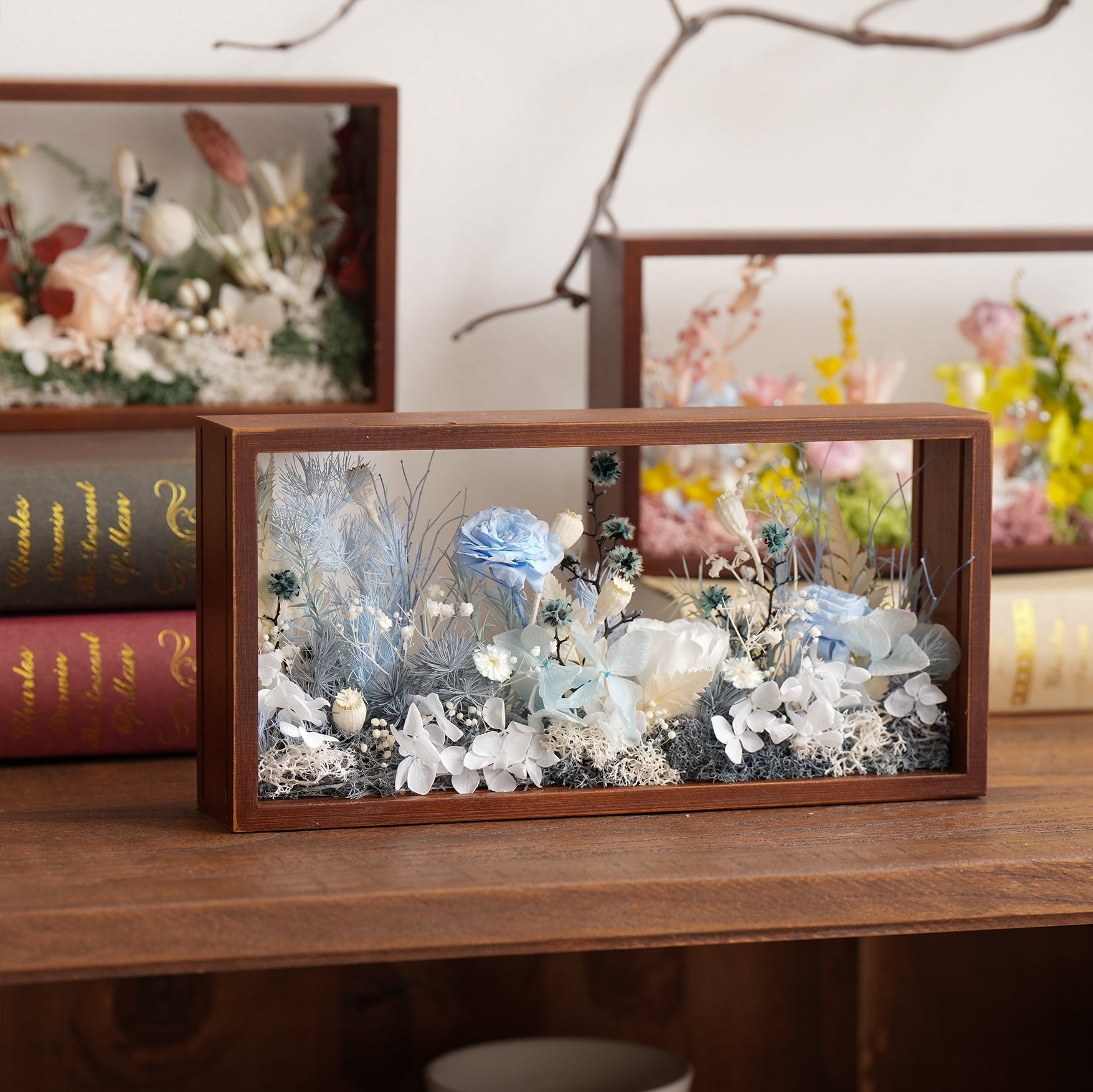 "The Landscape Garden" - Real Preserved Flower Shadow Box (Panoramic Desk Decor)