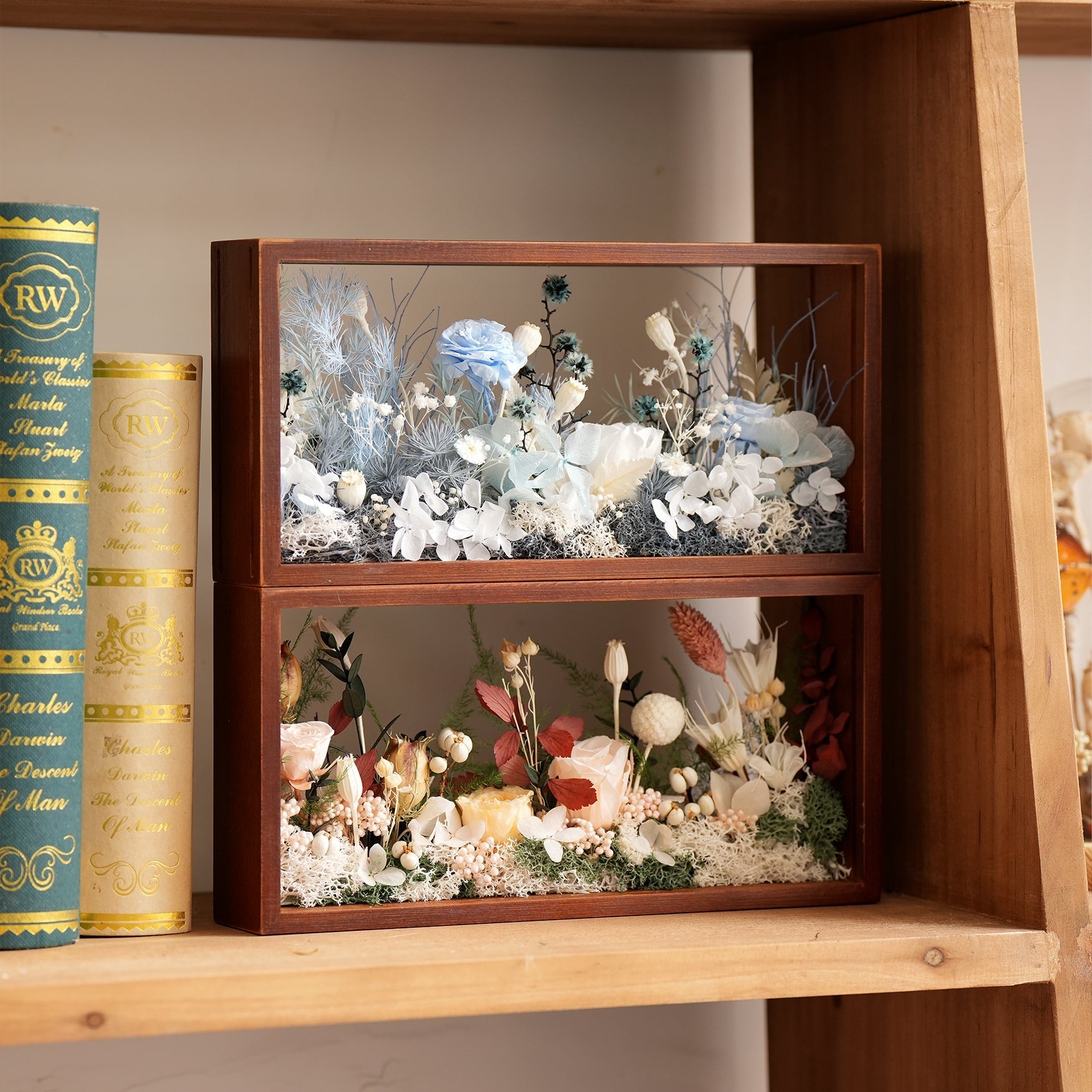 "The Landscape Garden" - Real Preserved Flower Shadow Box (Panoramic Desk Decor)